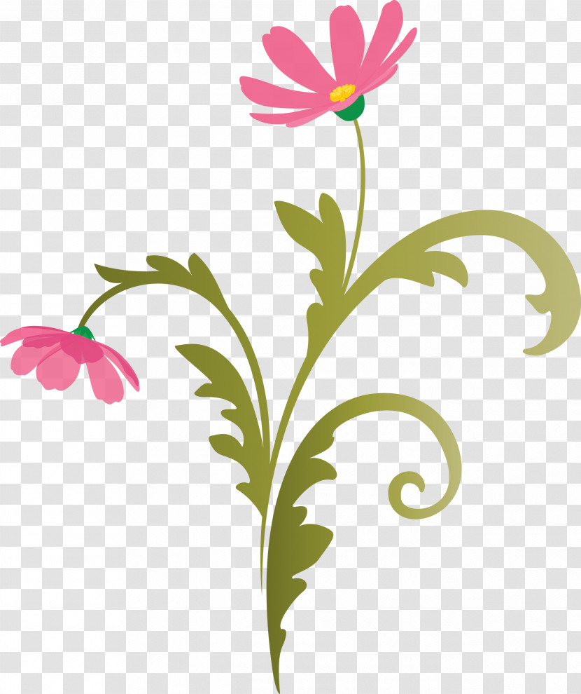 Flower Frame Floral Frame Transparent PNG