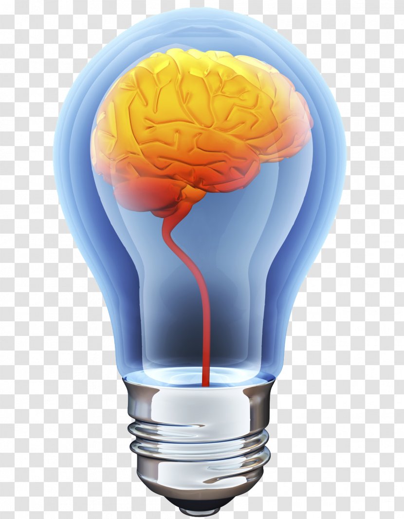 Human Brain Incandescent Light Bulb Stock Illustration - Heart Transparent PNG