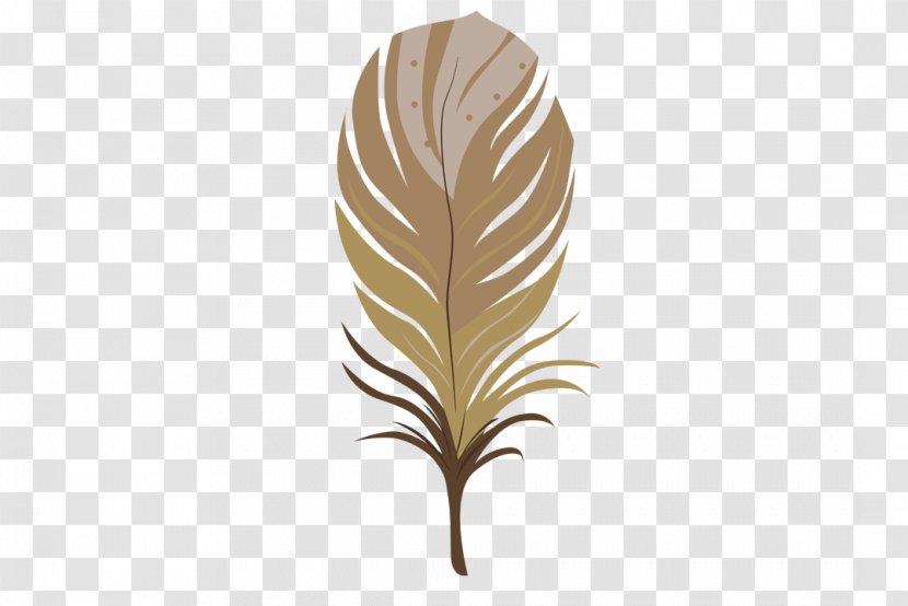 Feather Brown Color - Rgb Model - Feathers Transparent PNG