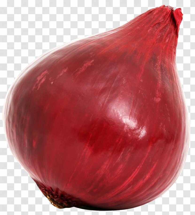 Red Onion Vegetable - Yellow - Bulb Transparent PNG