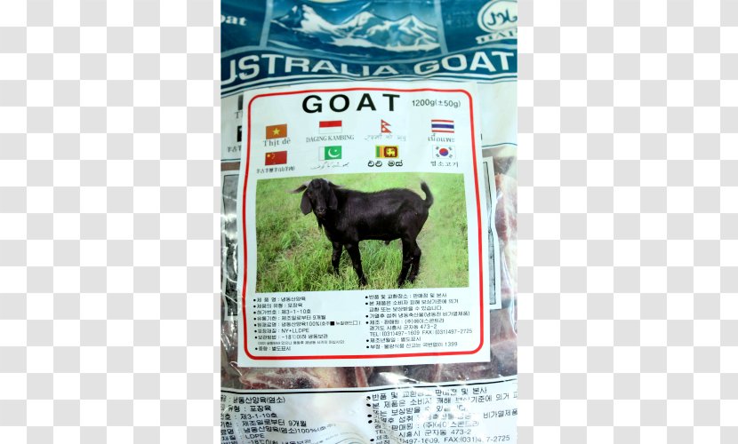 Goat Meat Halal 포린푸드마트 Foreign Food Mart Cattle Transparent PNG