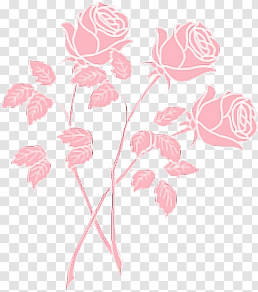 Clip Art Rose Pink Drawing Flower Aesthetic Drawings Transparent Png
