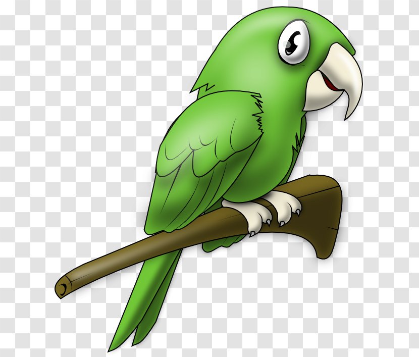 Bird Parrot - Narrative - Macaw Piciformes Transparent PNG