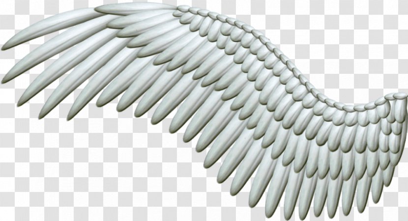 Clip Art Transparency Image - Wing Clipping - Angel Transparent Transparent PNG