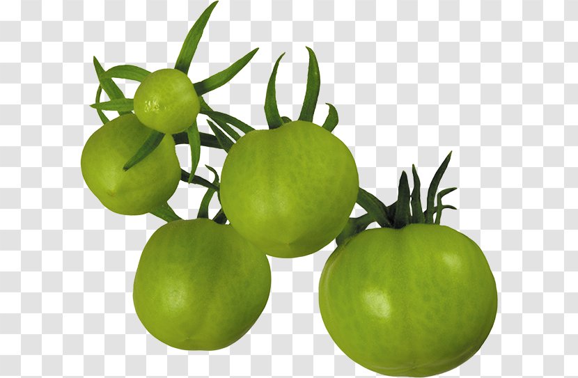Fried Green Tomatoes Tomato Juice Tomatillo - Bush Transparent PNG