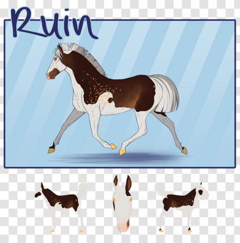 Mustang Foal Stallion Colt Mare - Pack Animal Transparent PNG