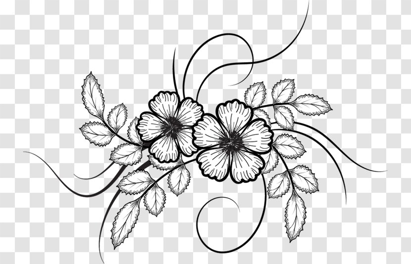 Flower Drawing - Flowering Plant - Sketch Transparent PNG