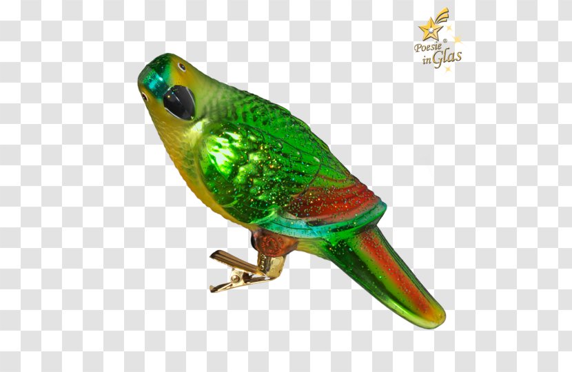 Macaw Parakeet Feather Pet Beak - Common - Quaker Parrot Christmas Transparent PNG