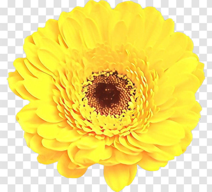 Artificial Flower Transparent PNG