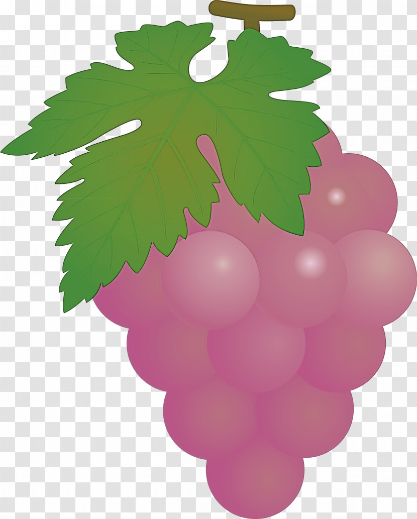 Grape Grapes Fruit Transparent PNG