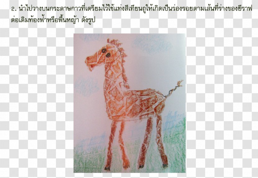 Giraffe Neck Crayon Fauna Art - Giraffidae - Tips And Tricks Transparent PNG