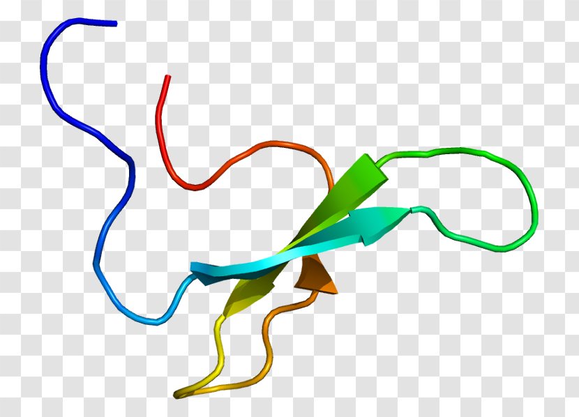 NEDD4L Protein Structure Cell Enzyme - Tree - Watercolor Transparent PNG