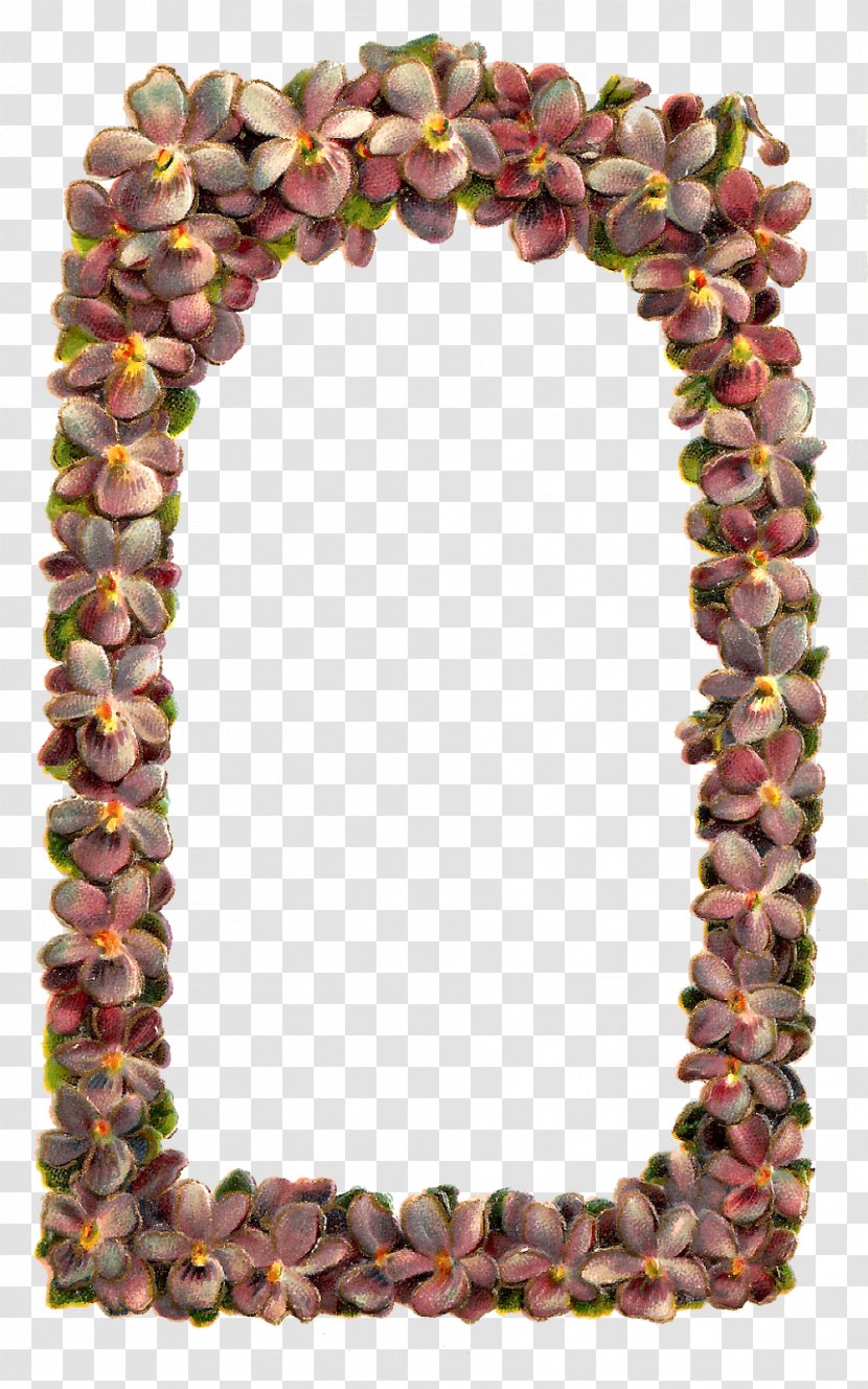 Picture Frames Photography Royalty-free - Stock Footage - Floral Frame Transparent PNG