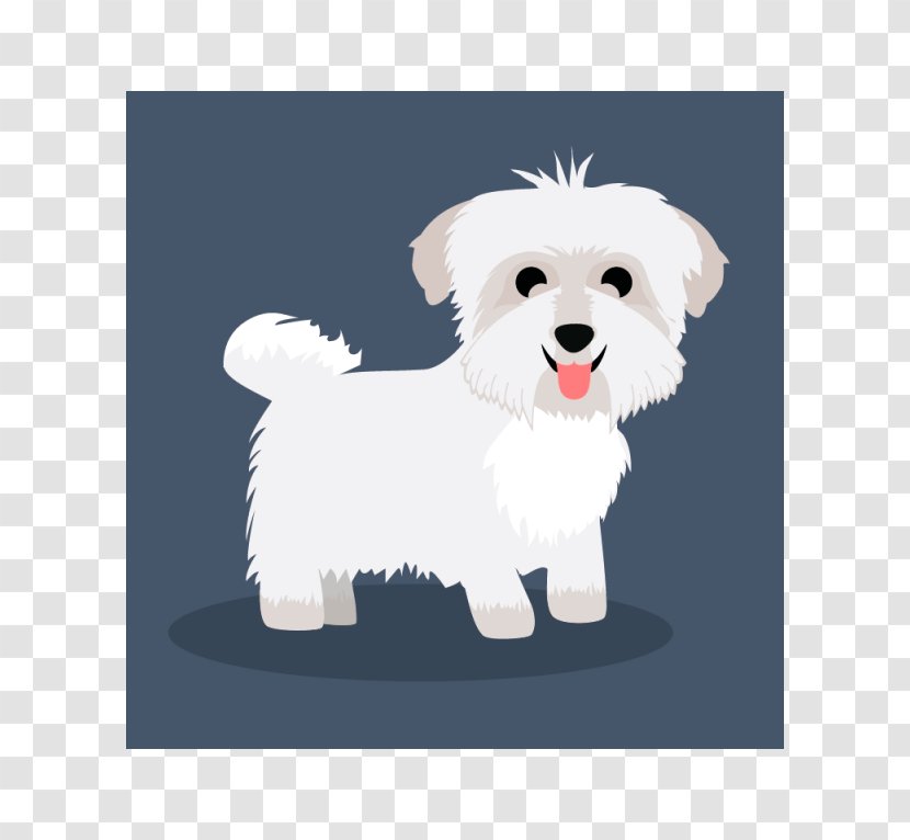 Maltese Dog Havanese West Highland White Terrier Puppy Breed - Love Transparent PNG