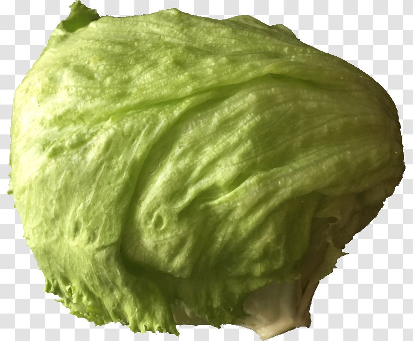Iceberg Lettuce Sandwich Salad Vegetable Clip Art - Food - Leaf Transparent PNG