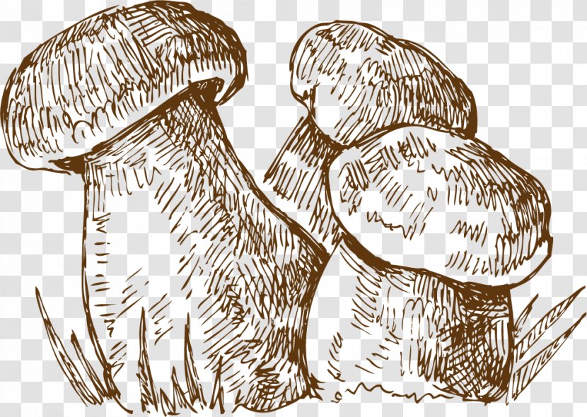 Breakfast Baozi Malatang Food Eating - Carnivoran - Hand Drawn Sketch Mushrooms Transparent PNG