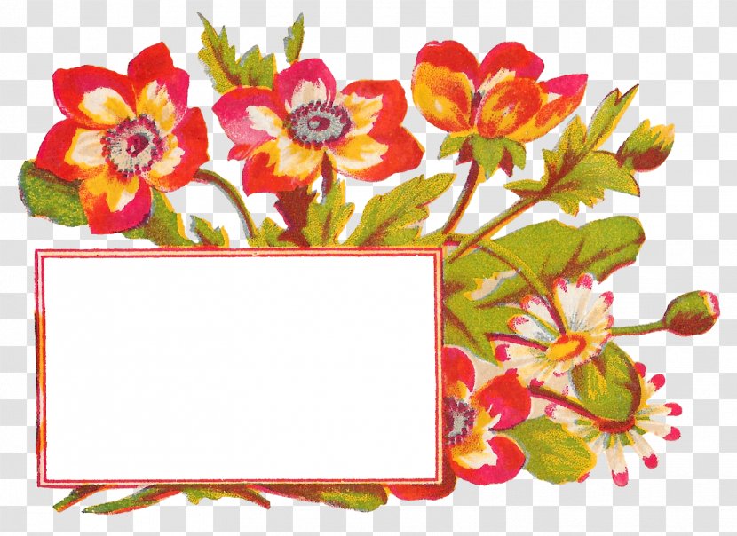 Floral Design Label Cut Flowers - Flowering Plant - Flower Transparent PNG