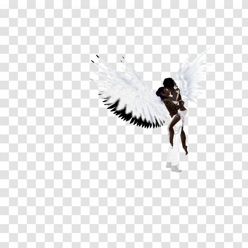 Desktop Wallpaper White Computer Feather - Angel - Wolf Avatar Transparent PNG