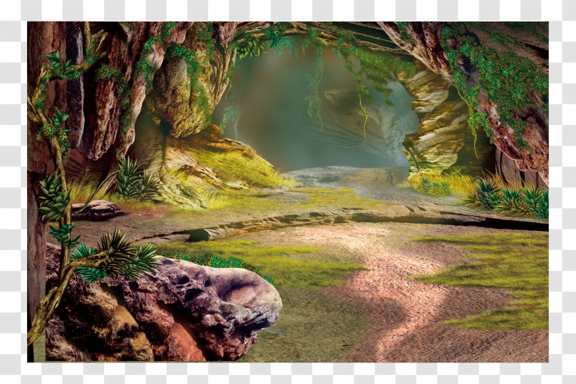 Poster Wallpaper - Jungle - Forest Background Transparent PNG