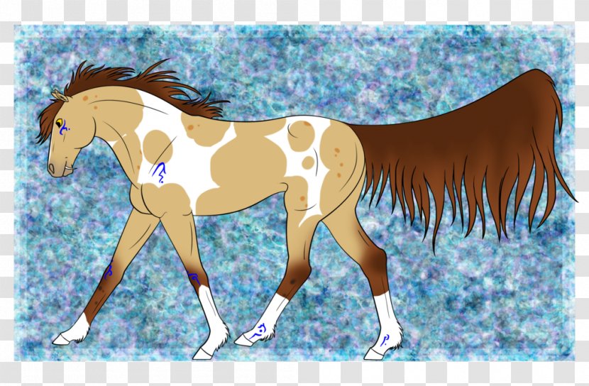 Foal Mane Stallion Mare Colt - Yonni Meyer - Mustang Transparent PNG