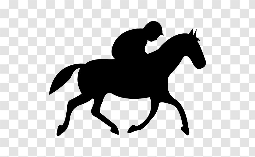 Horse Equestrian Jockey Jumping - Livestock Transparent PNG