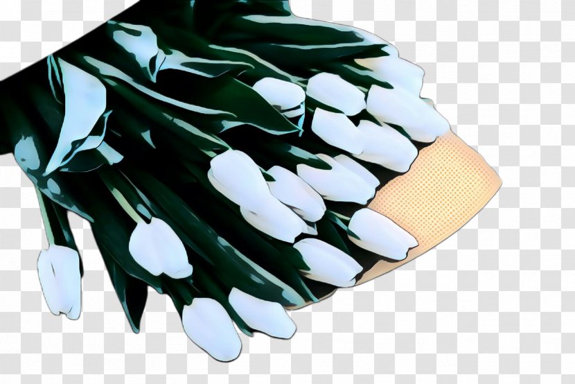 Flowers Background - Leaf - Batting Glove Plant Transparent PNG