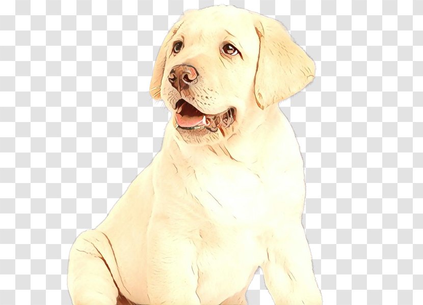 Dog Labrador Retriever Sporting Group Companion - Cartoon Transparent PNG