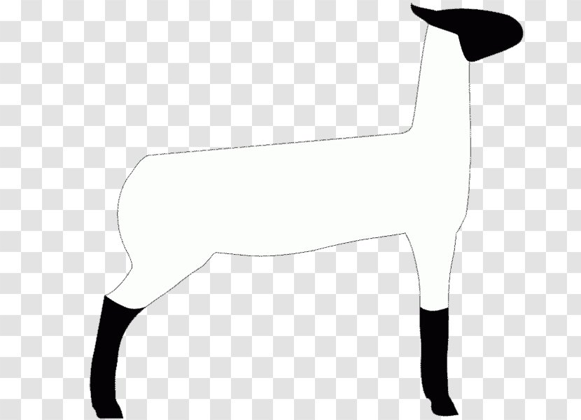 Dog Breed Cat Horse Mammal - Horn - Club Lamb Transparent PNG