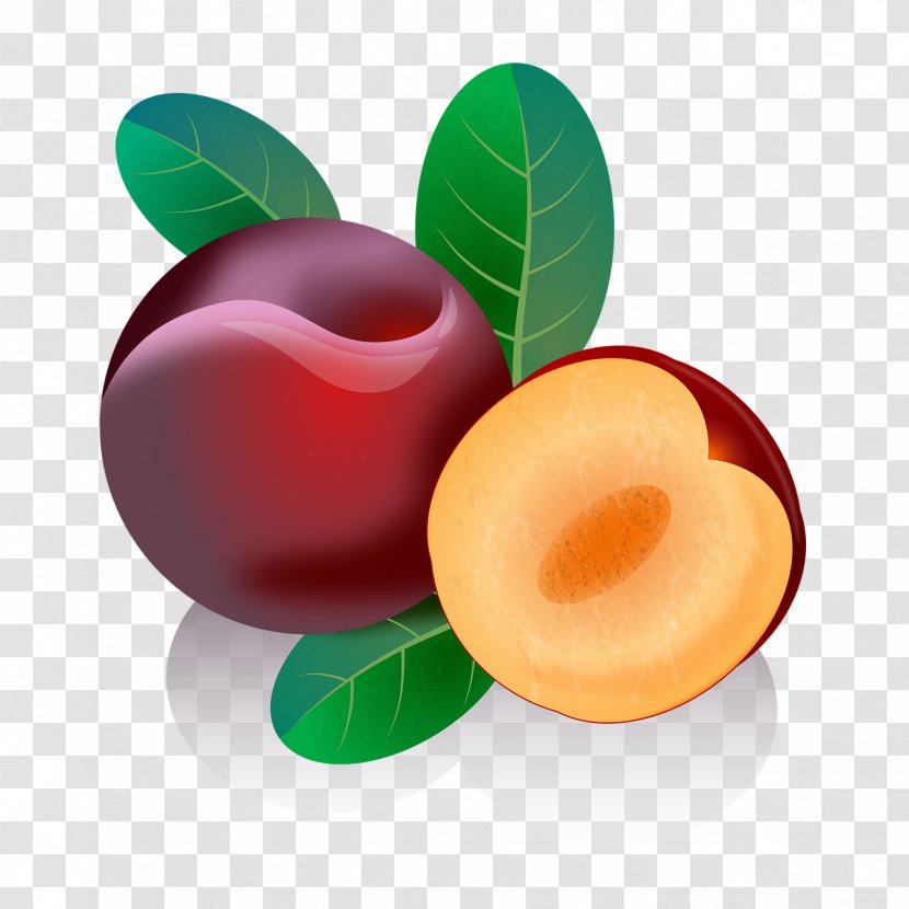 Fruit Cartoon - Plant - Purple Transparent PNG