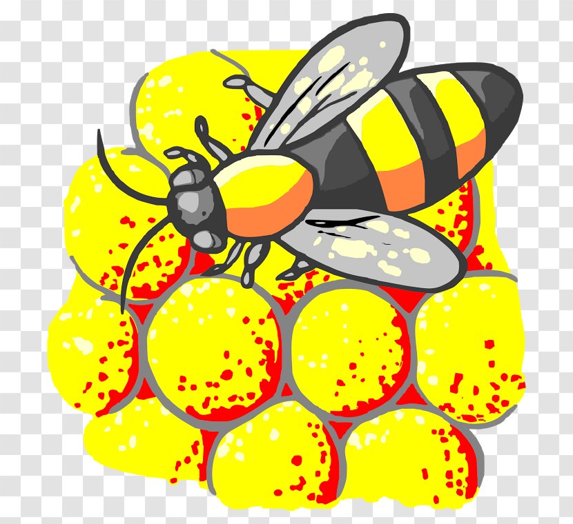 Honey Bee Monarch Butterfly Insect Pollen Transparent PNG