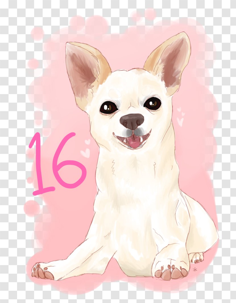 Chihuahua Puppy Dog Breed Companion Whiskers Transparent PNG