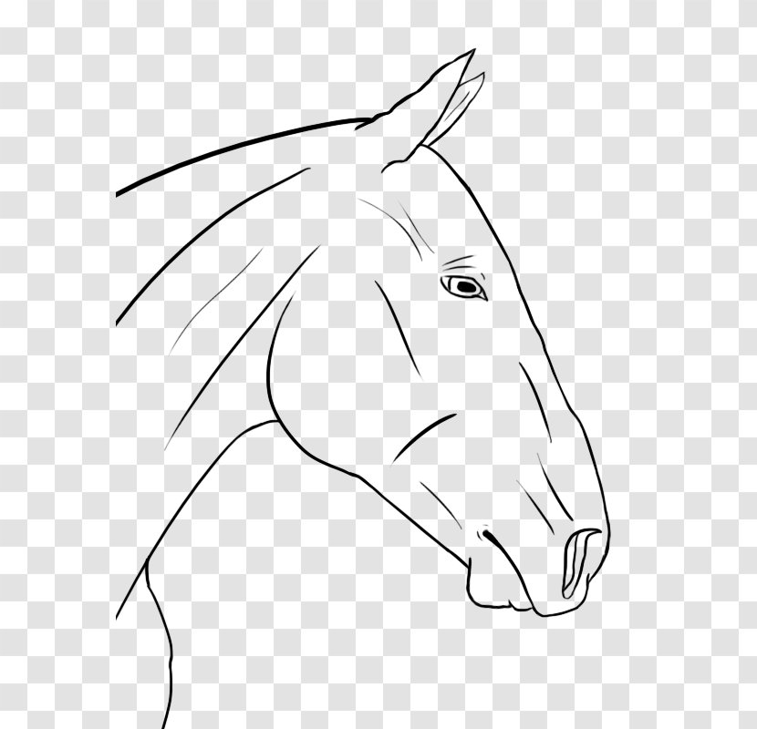 Snout Mustang Connemara Pony Line Art - Monochrome Transparent PNG