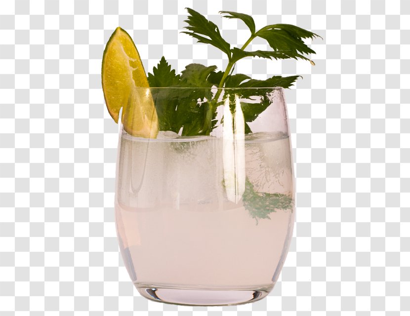 Cocktail Garnish Spritzer Mint Julep Mai Tai - Alcohol - Sunrise Over Sea Transparent PNG
