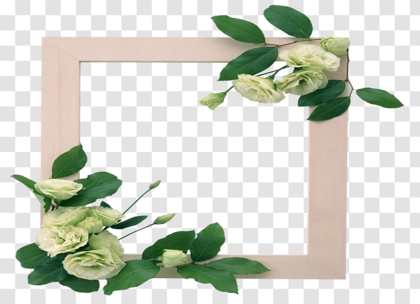 Picture Frames Flower Paper - Bi Yanjing Transparent PNG
