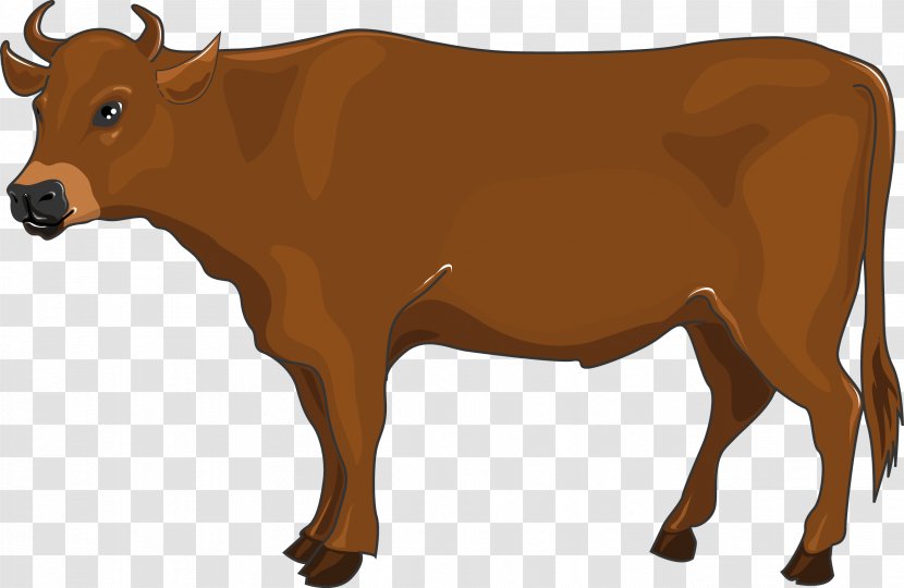 Dairy Cattle Ox Calf Beef Bull - It's A Boy Transparent PNG