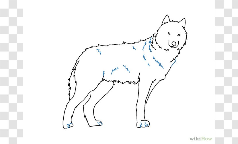 Gray Wolf Drawing Pencil Sketch - Organism - Easy Drawings Transparent PNG