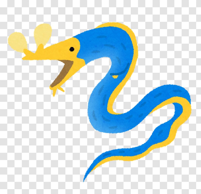 Drawing Ribbon Eel ウツボの仲間 Clip Art - Beak - Fish Transparent PNG