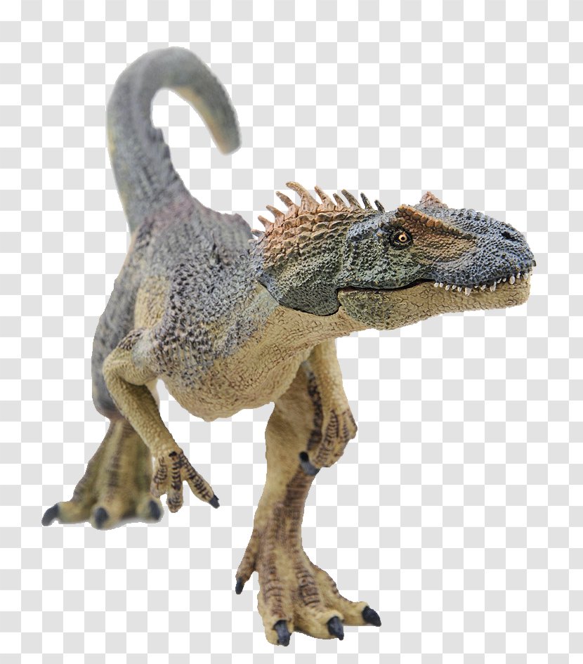 Tyrannosaurus Velociraptor Dinosaur Allosaurus Animal - Models Transparent PNG
