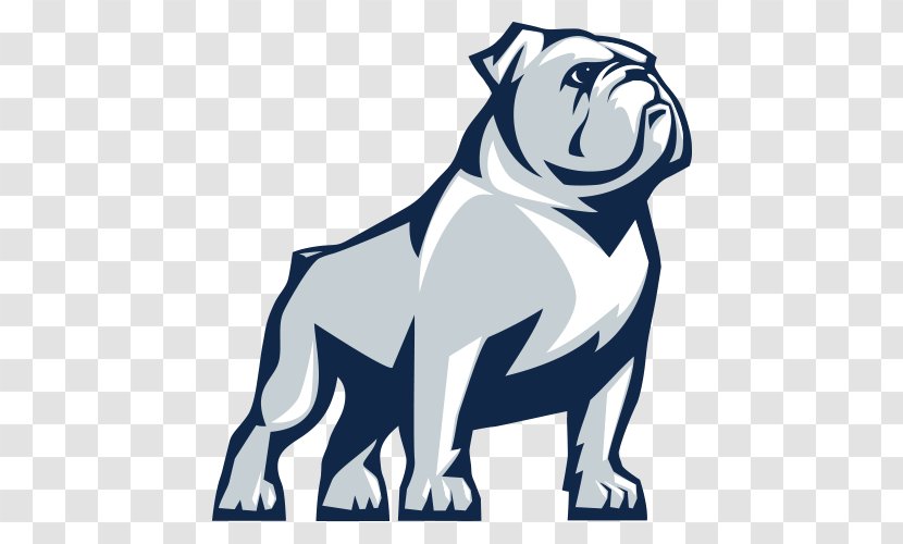 Samford Bulldogs Football Baseball University Mercer Men's Basketball - Non Sporting Group - Vs Transparent PNG