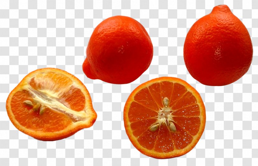 Clementine Tangerine Tangelo Grapefruit Rangpur - Minneola Tangelos Transparent PNG