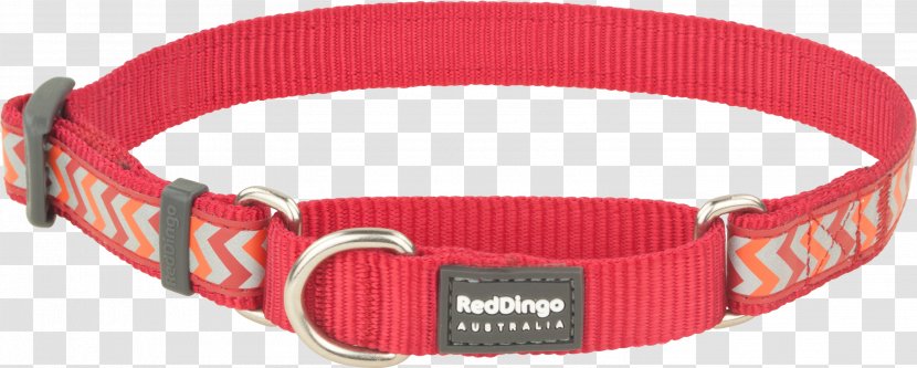 Dog Collar Dingo Martingale Transparent PNG