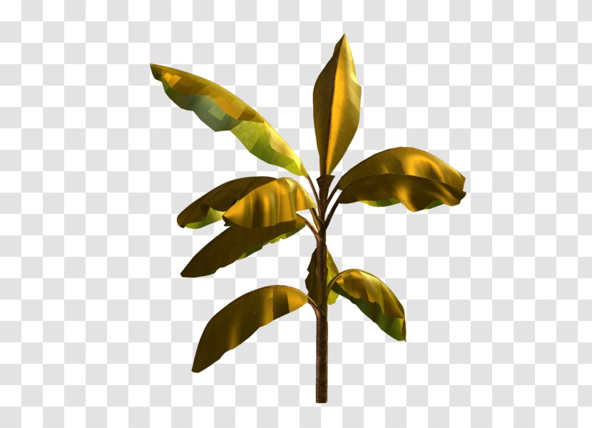 Leaf Plant Stem Branching Transparent PNG