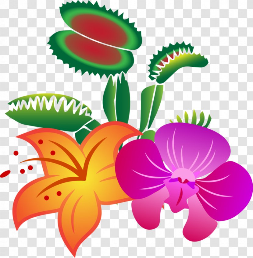 Clip Art Venus Flytrap Plants Image Trichome - Flowering Plant Transparent PNG