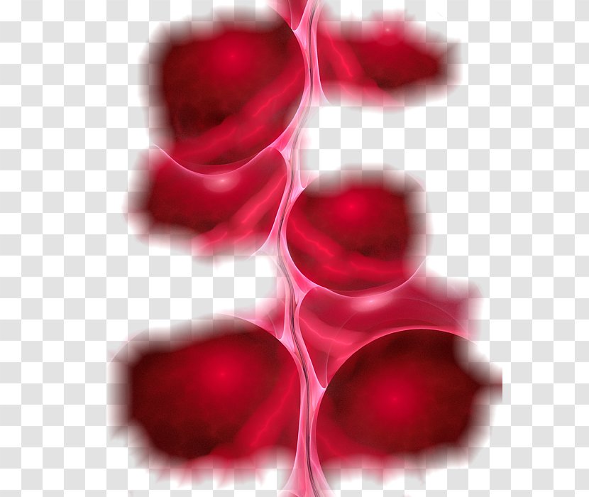 Desktop Wallpaper Computer Close-up - Blood Flow Transparent PNG