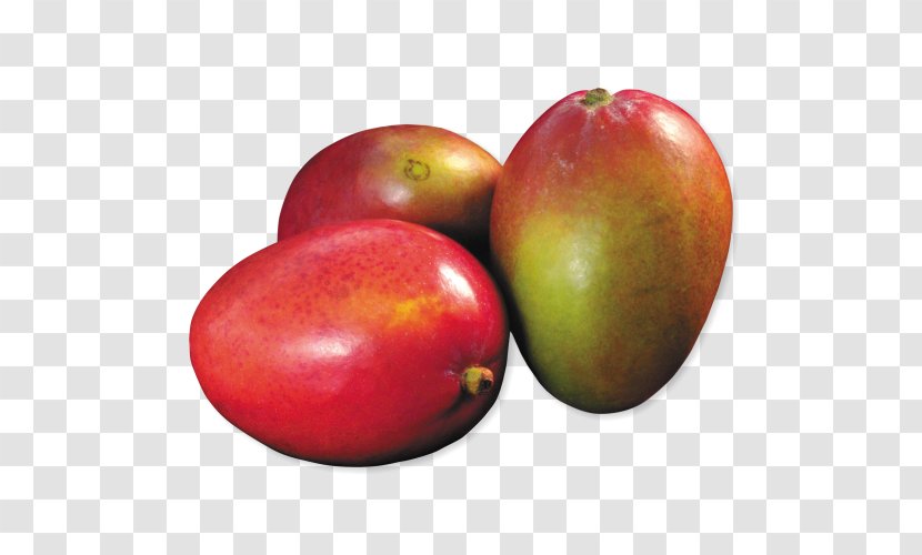 Accessory Fruit Food Biology Mango - Youtube Transparent PNG