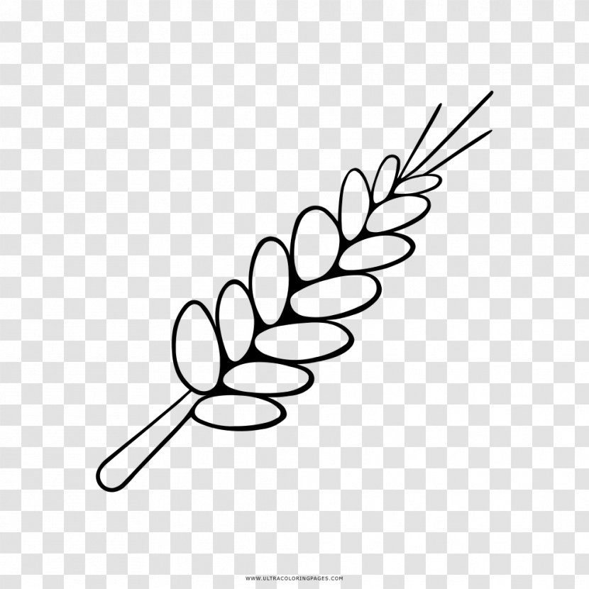 Drawing Coloring Book Wheat Ear - Plant Stem Transparent PNG
