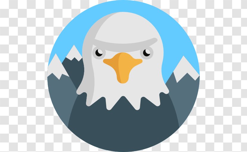Bald Eagle Bird Beak Microsoft PowerPoint - Vertebrate Transparent PNG