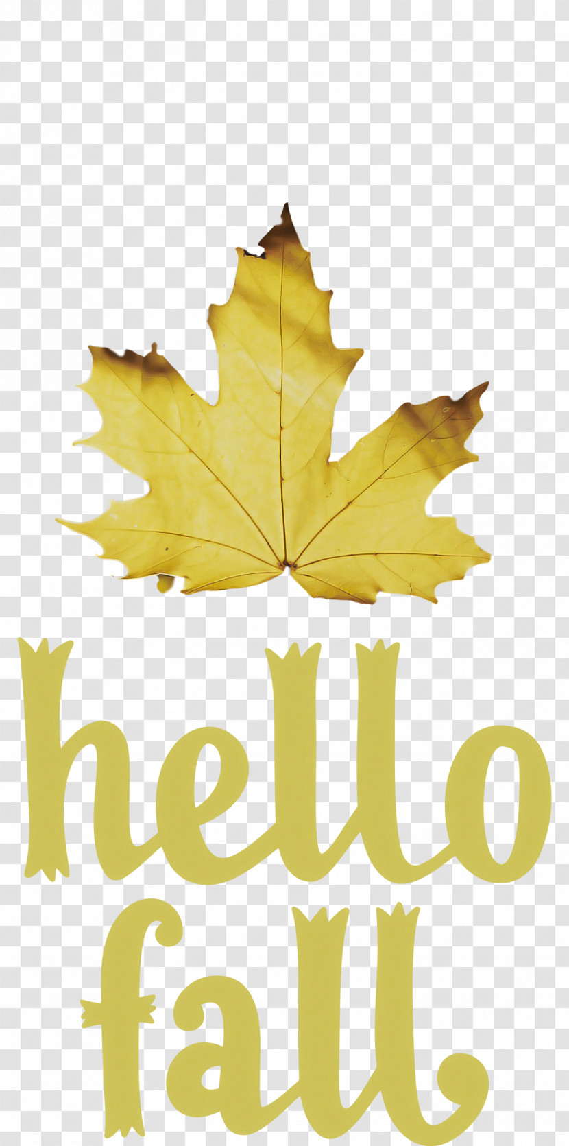 Hello Fall Fall Autumn Transparent PNG