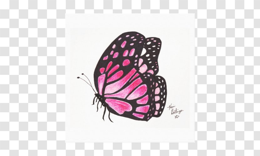 Monarch Butterfly Drawing - Pencil Transparent PNG