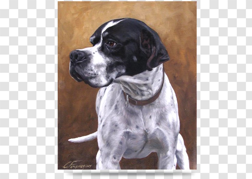 Old Danish Pointer Auvergne Dog Breed Rare (dog) - Hunting - Painting Transparent PNG